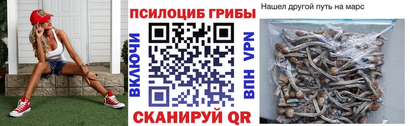 Псилоцибиновые грибы прущие грибы  наркошоп  ОМГ ОМГ tor  Шацк 